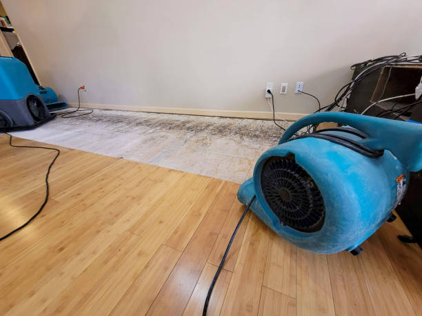 Professional Flood Damage Cleanup technician working in West Hills, NY